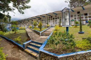 Cementerio San Andrés - Bello